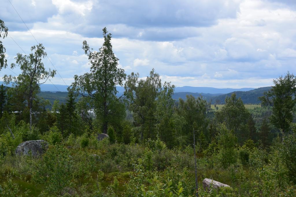 Mieps Huset Dalarna Holiday Kullen  Extérieur photo